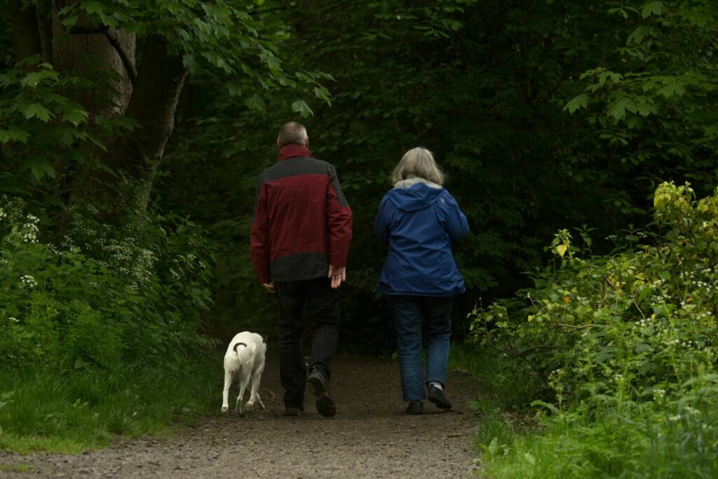 retired old couple walking a dog 