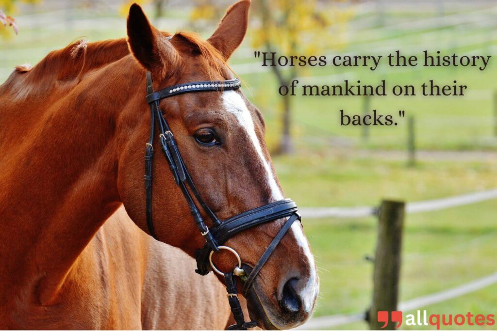 Legendary Words about horses