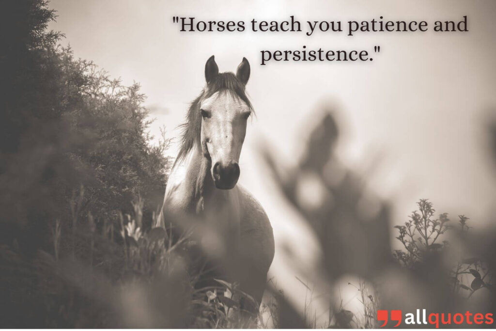 Life Lessons from Horses