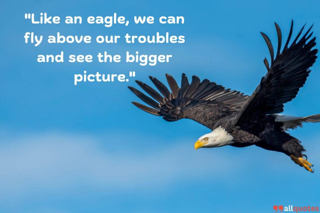 Famous Eagle Quotes