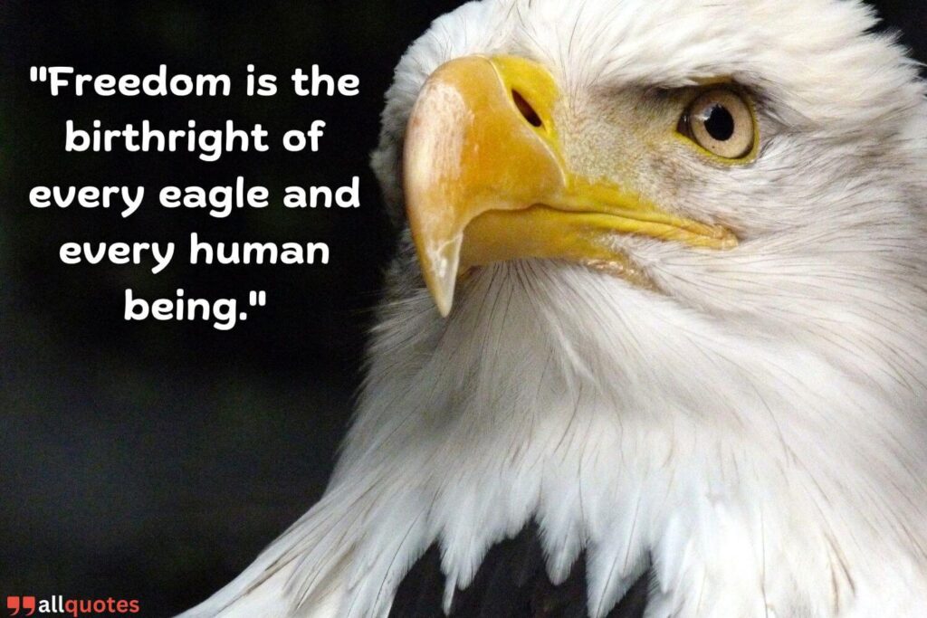 Eagle Quote about Freedom