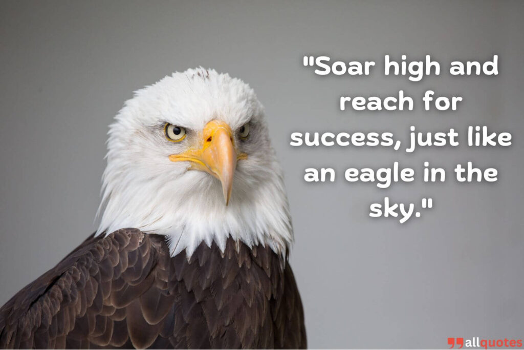 eagle line and saying about success 