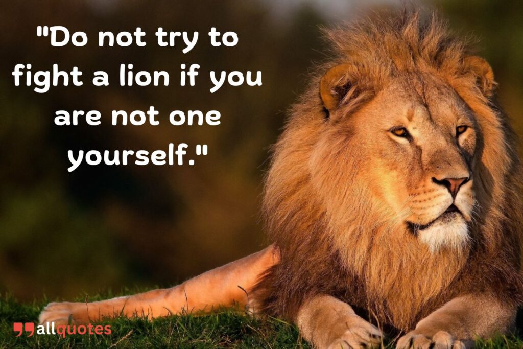 lion quote