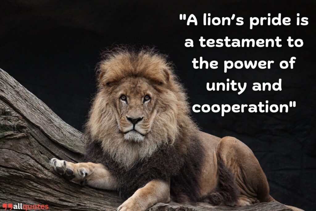 Lion's pride sayings