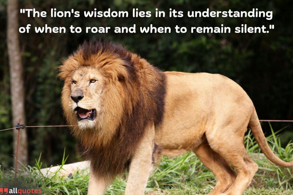 Philosophical Quote on lions