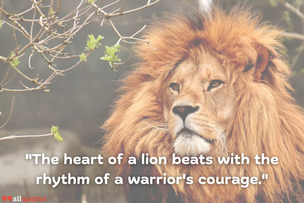 Strong warrior lion quote