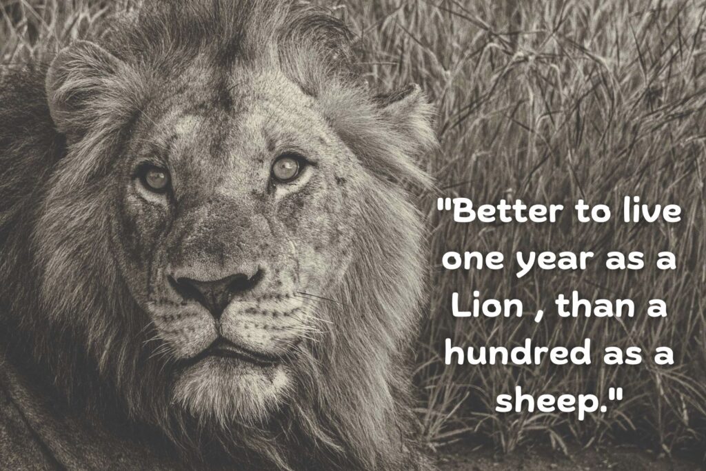 Asian Proverb about Lions