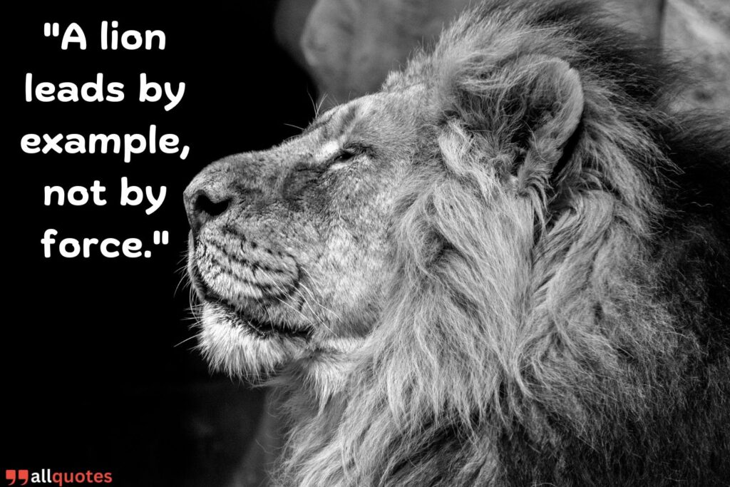 lion proverb about leadership