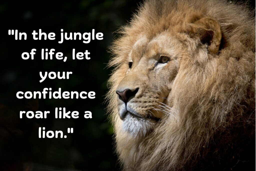 lion quote about confidence 