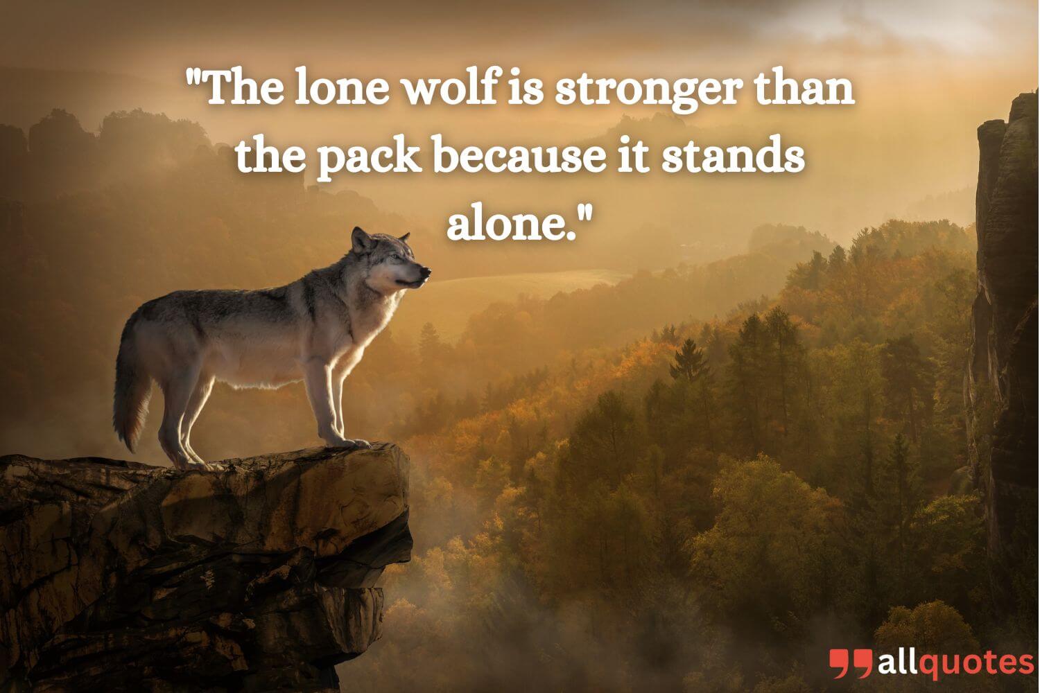 Lone wolf quote