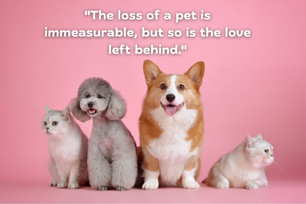 heartfelt pet loss quote